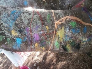painted-tree