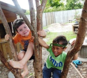 tree climbing